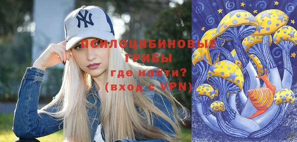 гашик Арсеньев