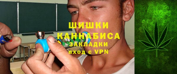 гашик Арсеньев